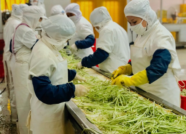 三種食品污水處理設備工藝流程，看看哪種適合您？
