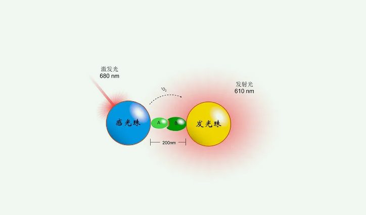 化學發(fā)光法準確度高嗎(化學發(fā)光法是什么原理) 化學發(fā)光法準確度高嗎(化學發(fā)光法是什么原理)